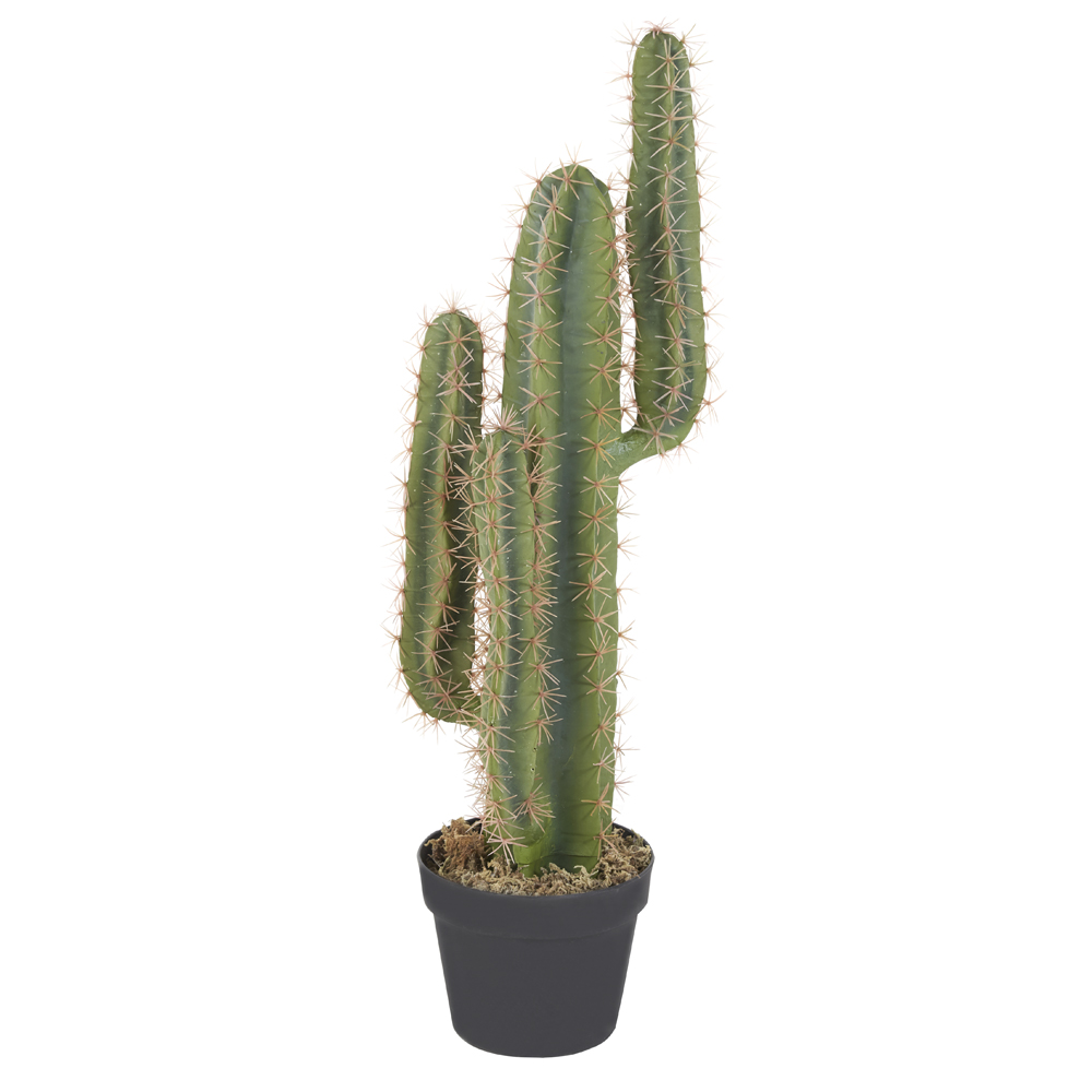 Kunstpflanze im Topf Euphorbia Kaktus (klein)