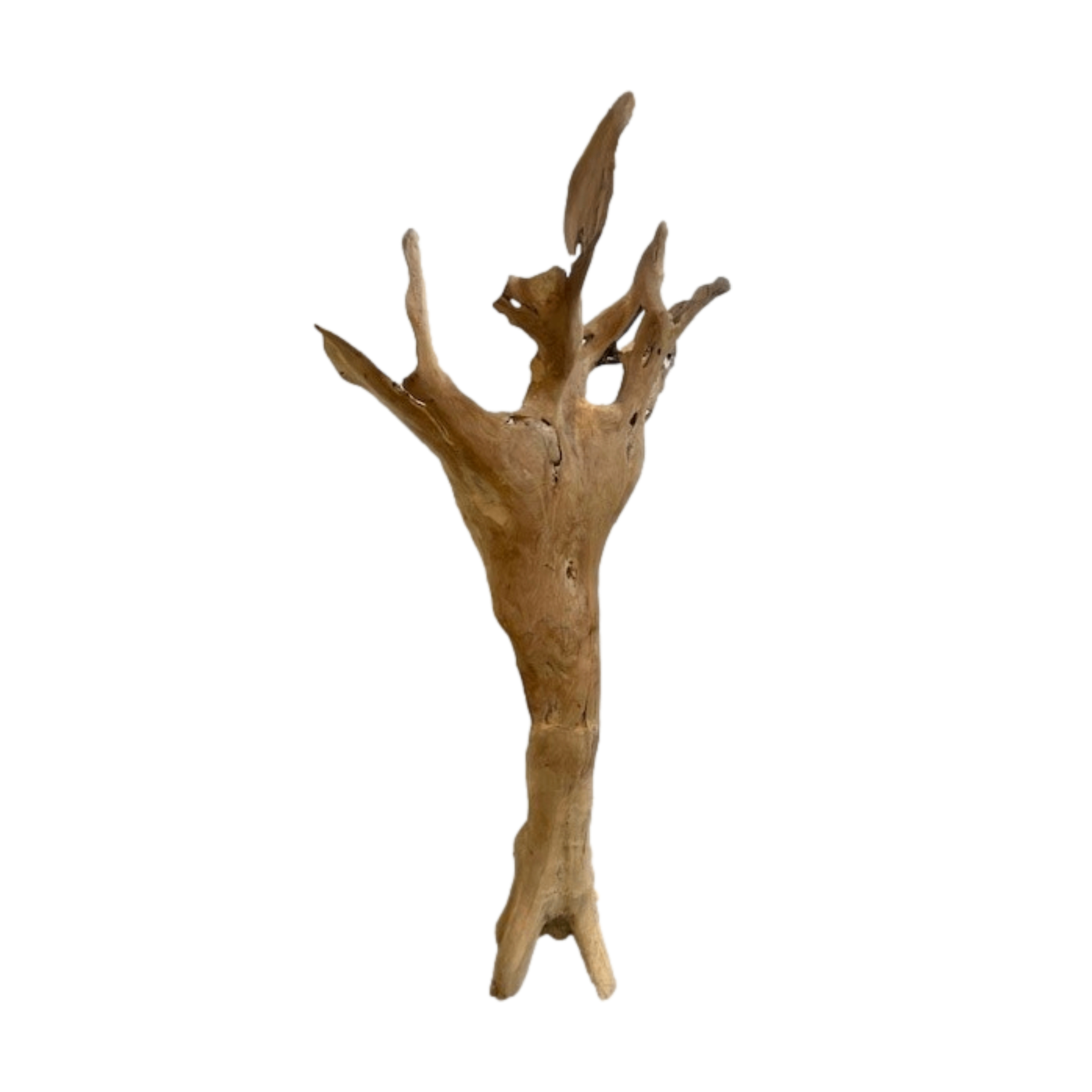 Dekoobjekt - mittel Root object