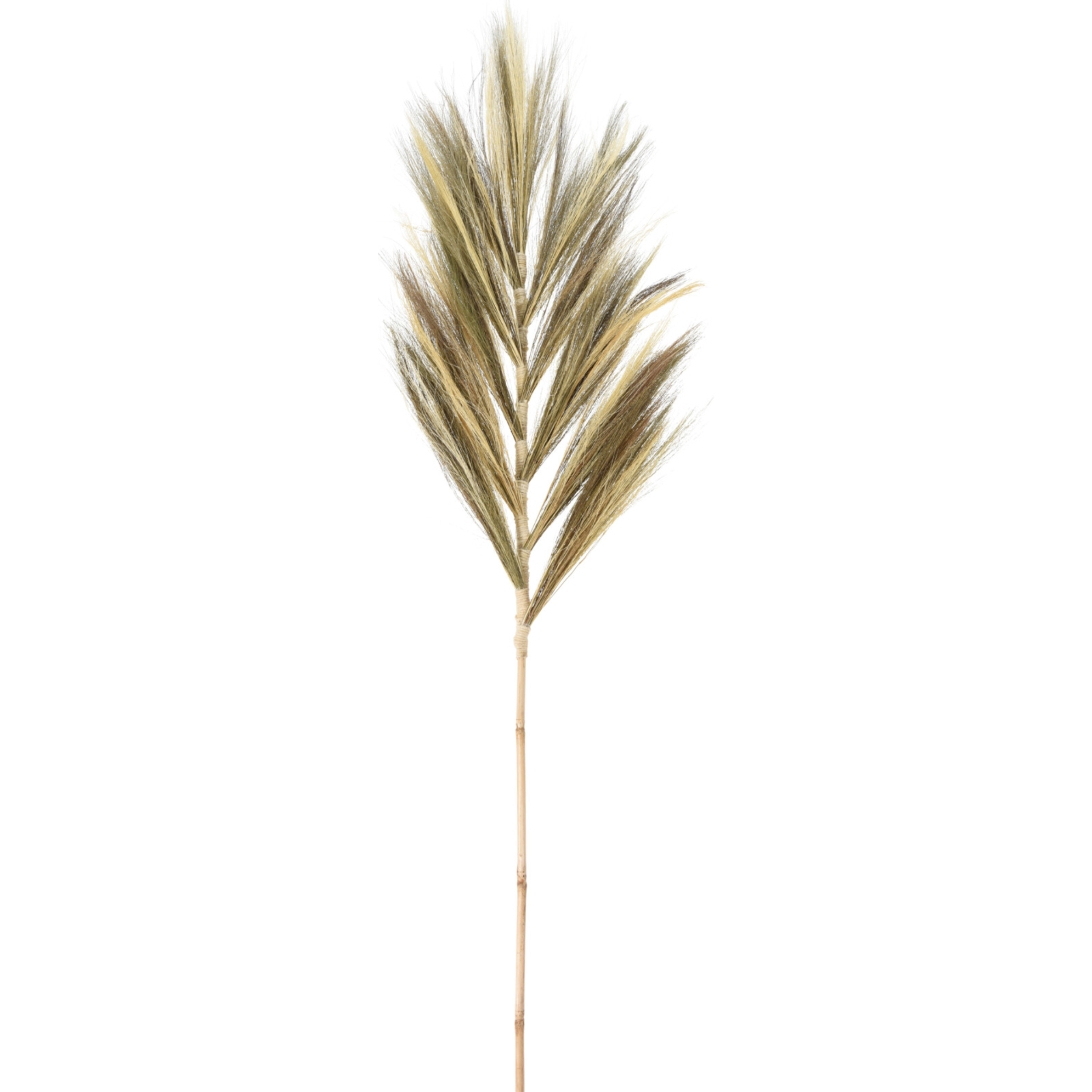 Dekozweig Senfgras