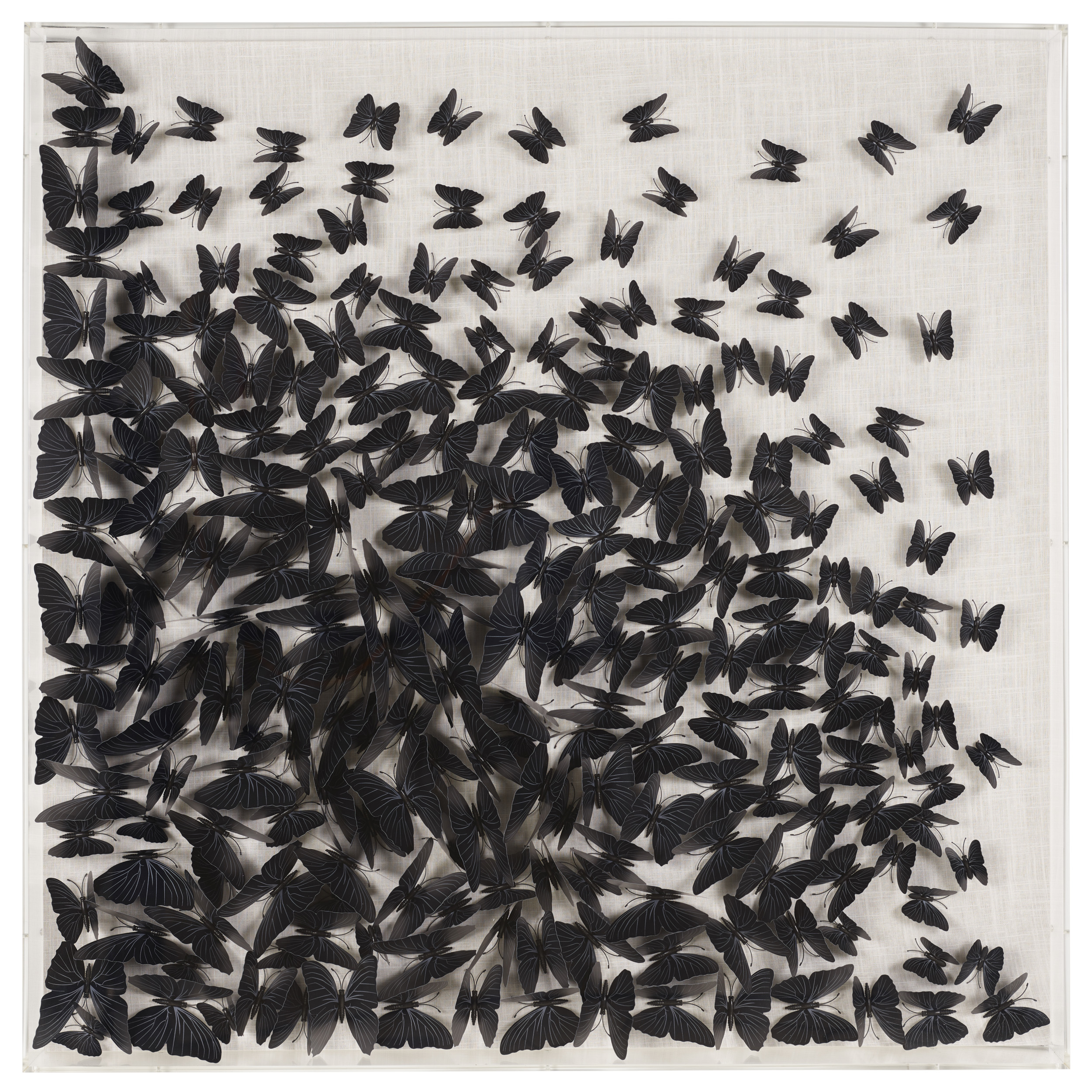 Collage Black Butterfly