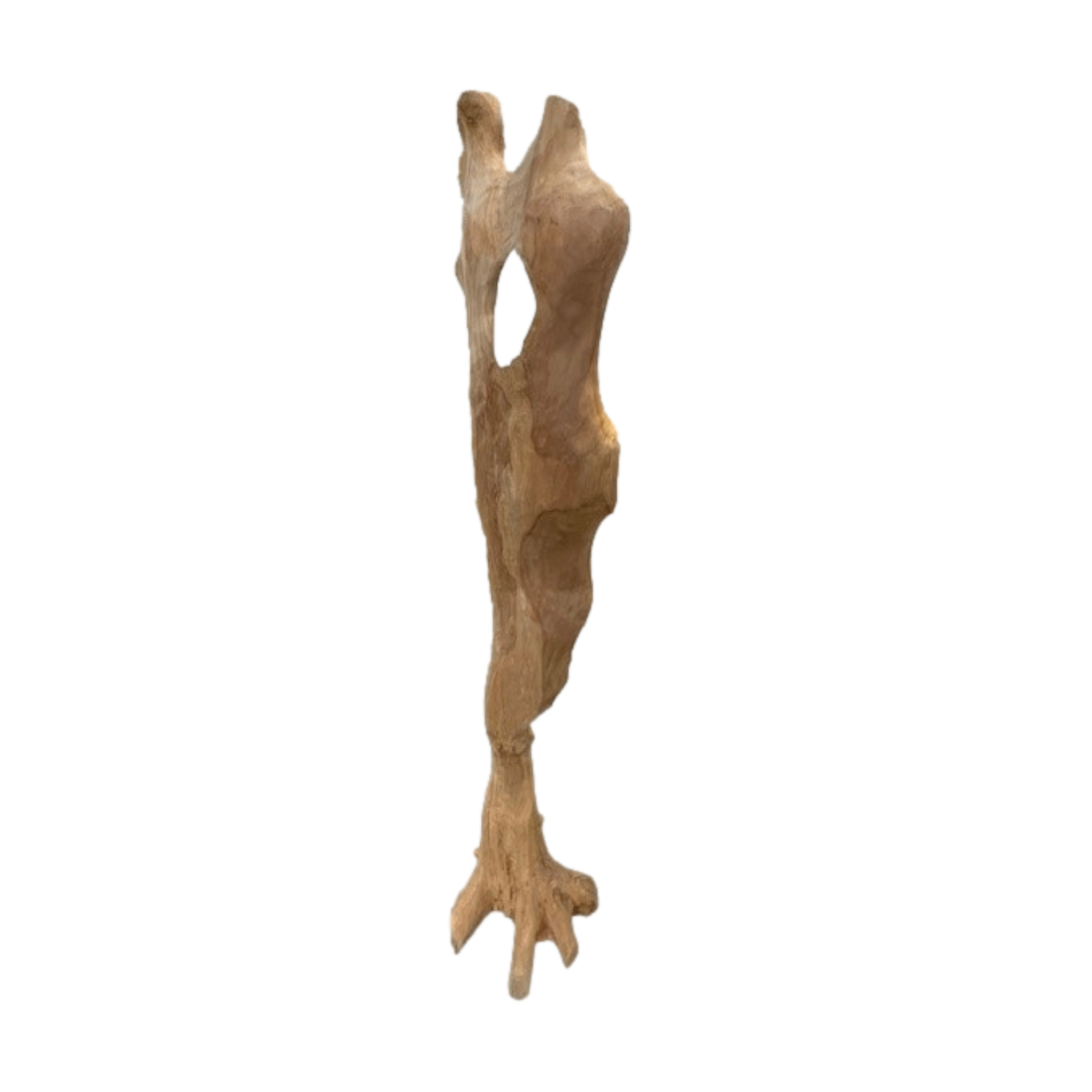 Dekoobjekt - mittel Root object