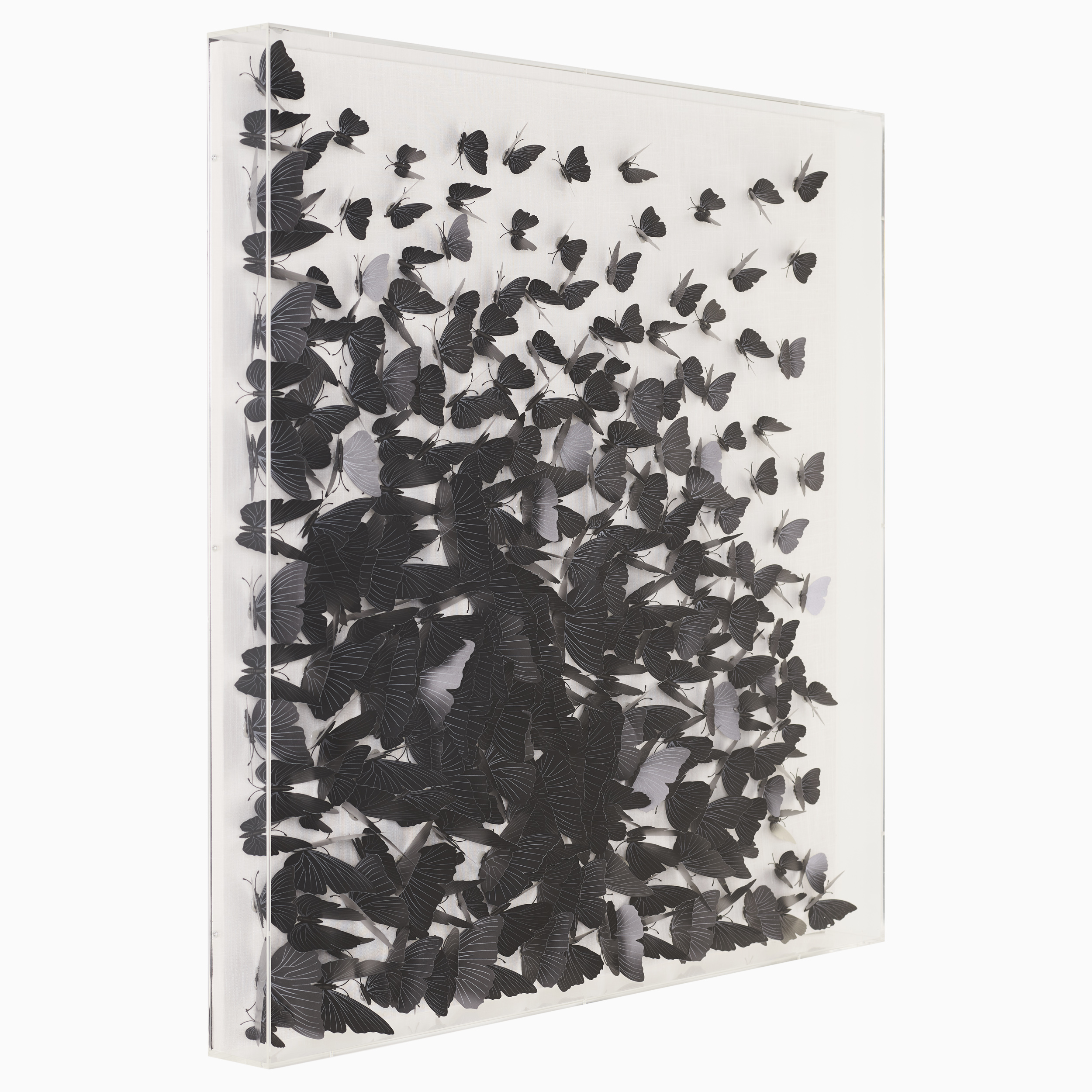 Collage Black Butterfly