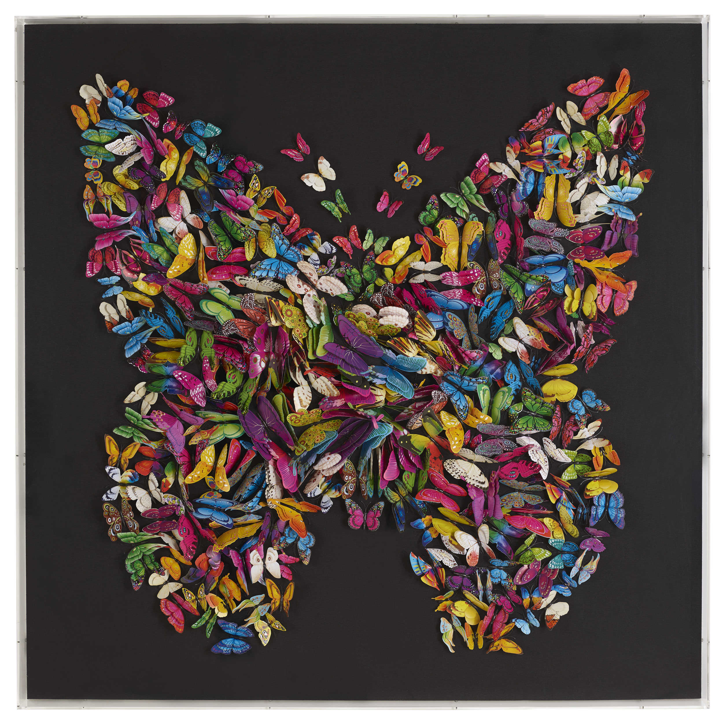 Collage Colorful Butterfly
