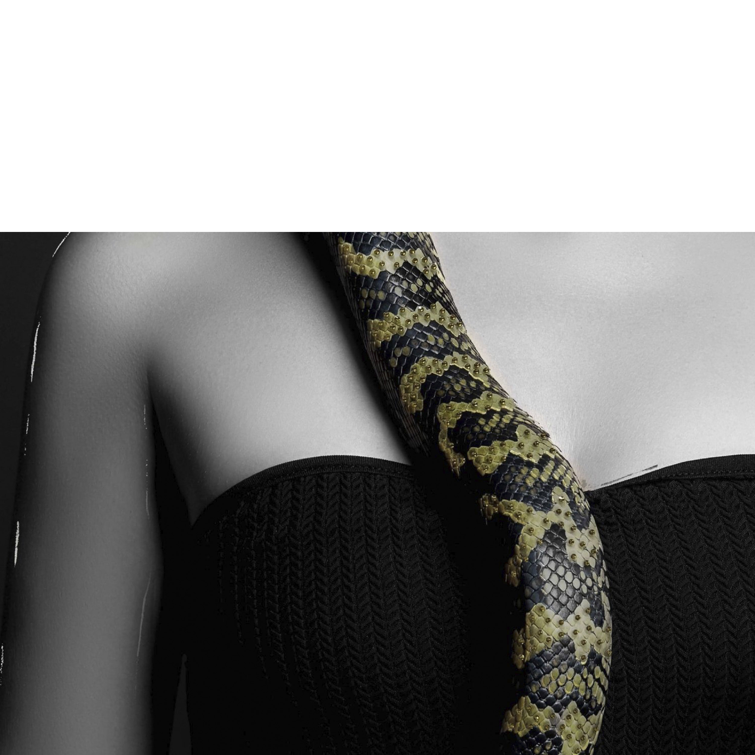 Wandbild Lady Gucci I