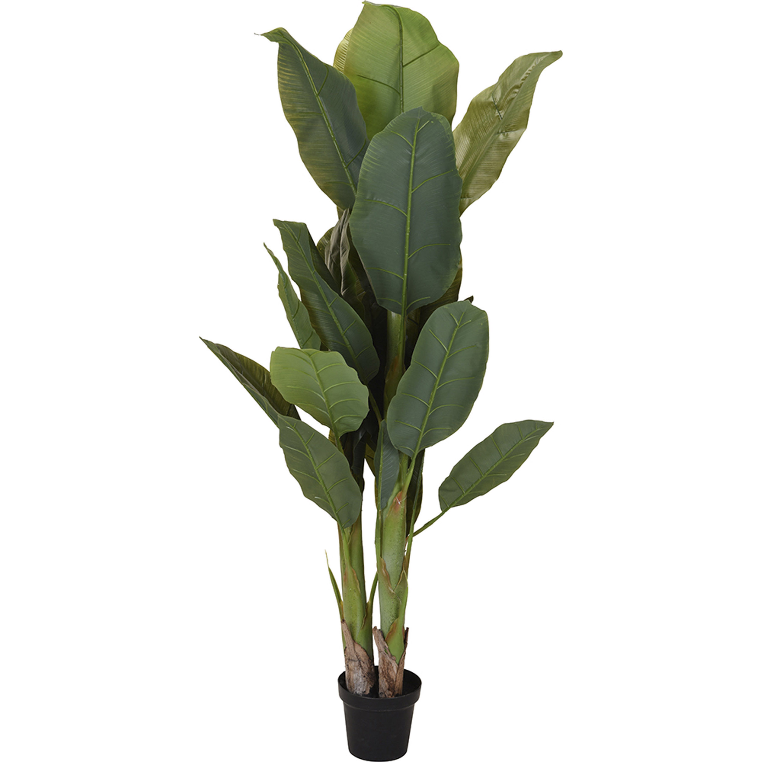 Kunstpflanze im Topf Bananenbaum