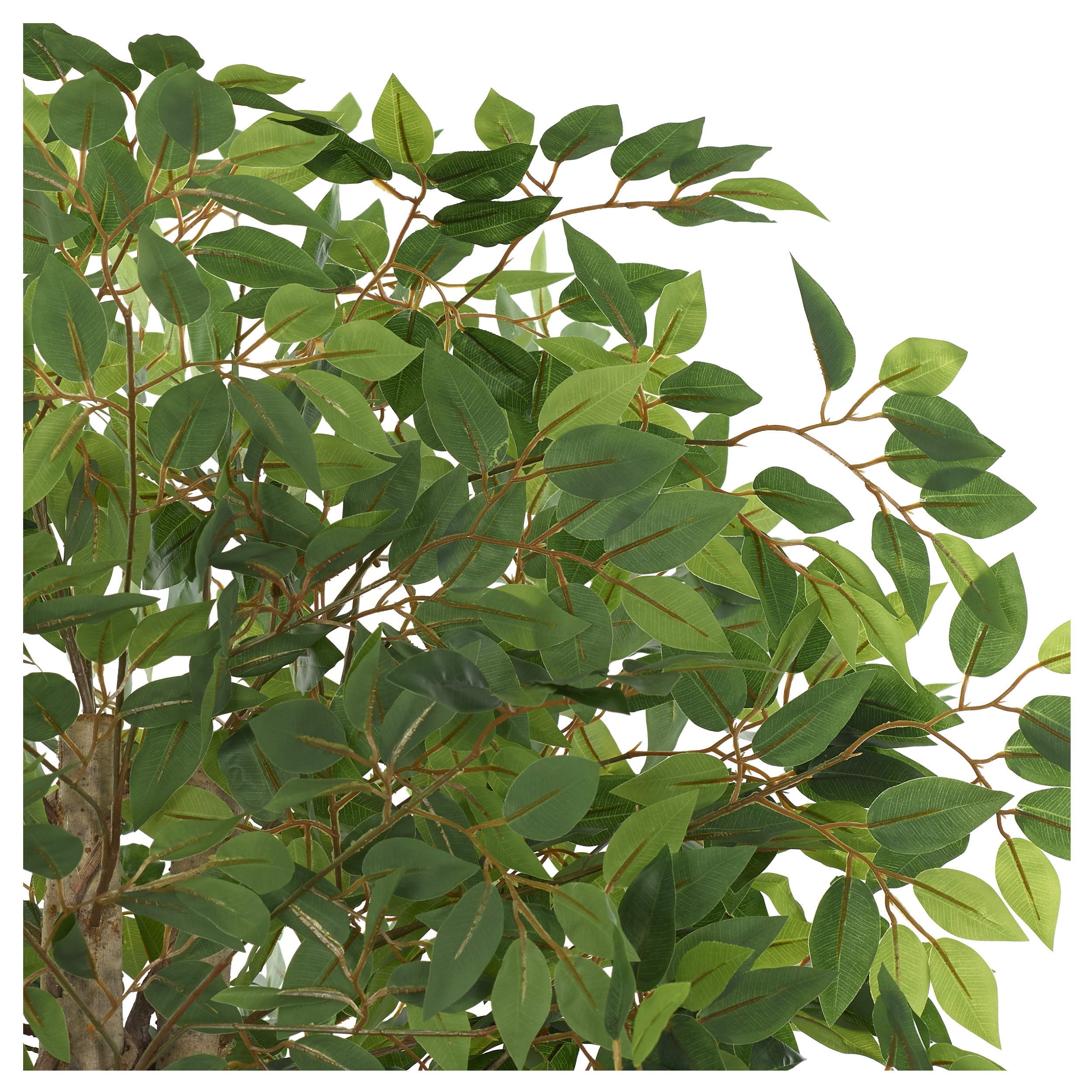 Kunstpflanze Ficus Benjamina