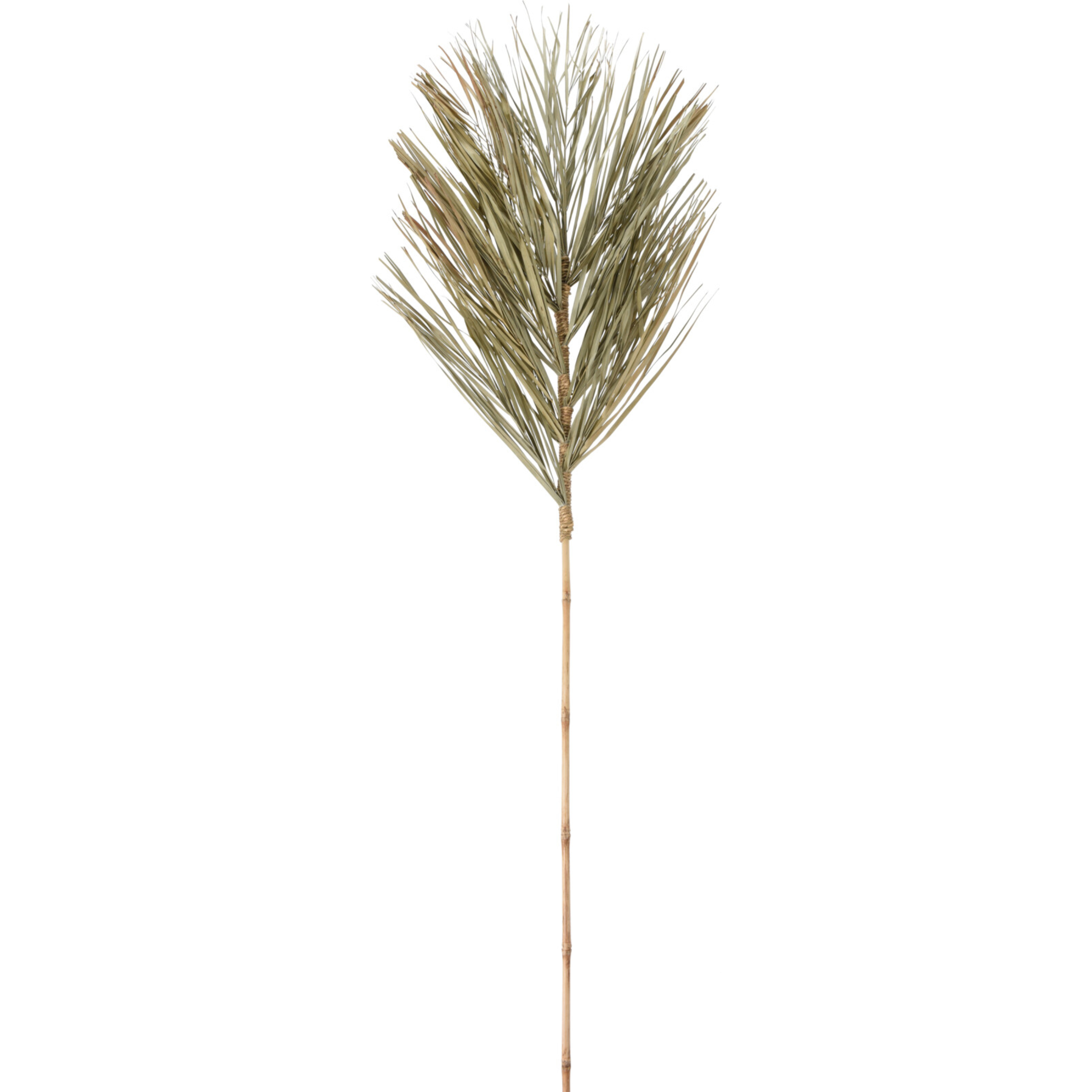 Dekozweig Palmwedel