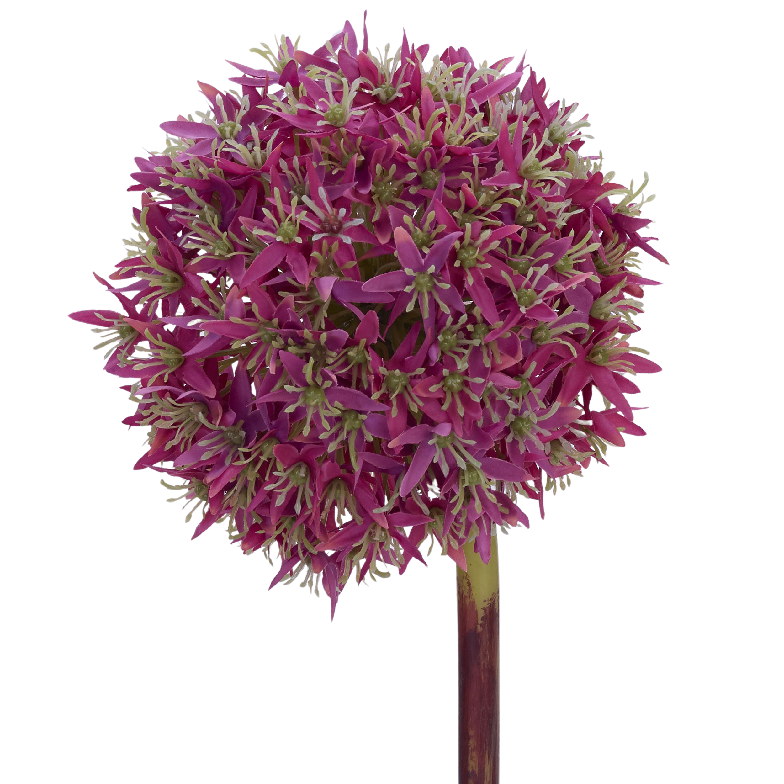 Kunstblume Allium
