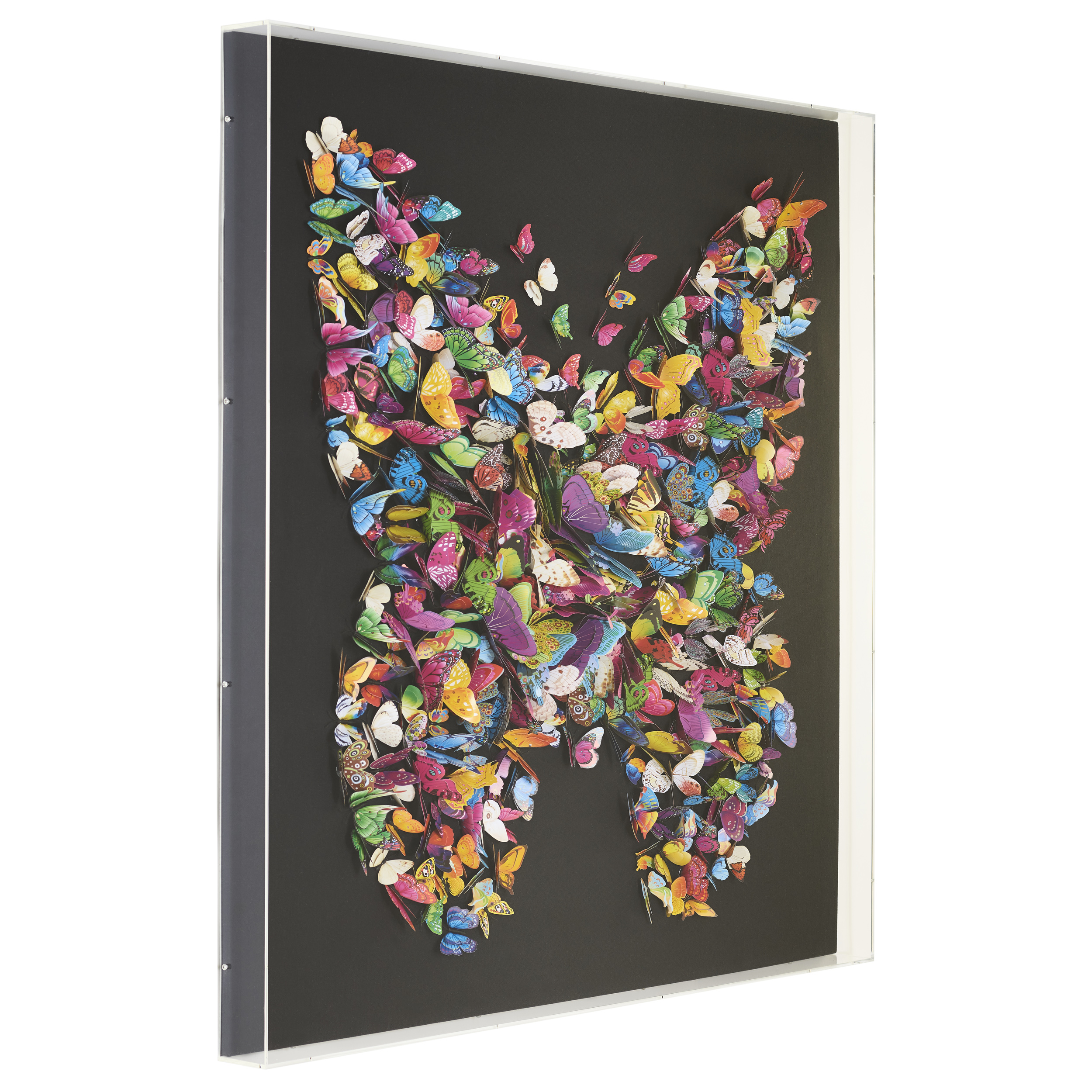 Collage Colorful Butterfly