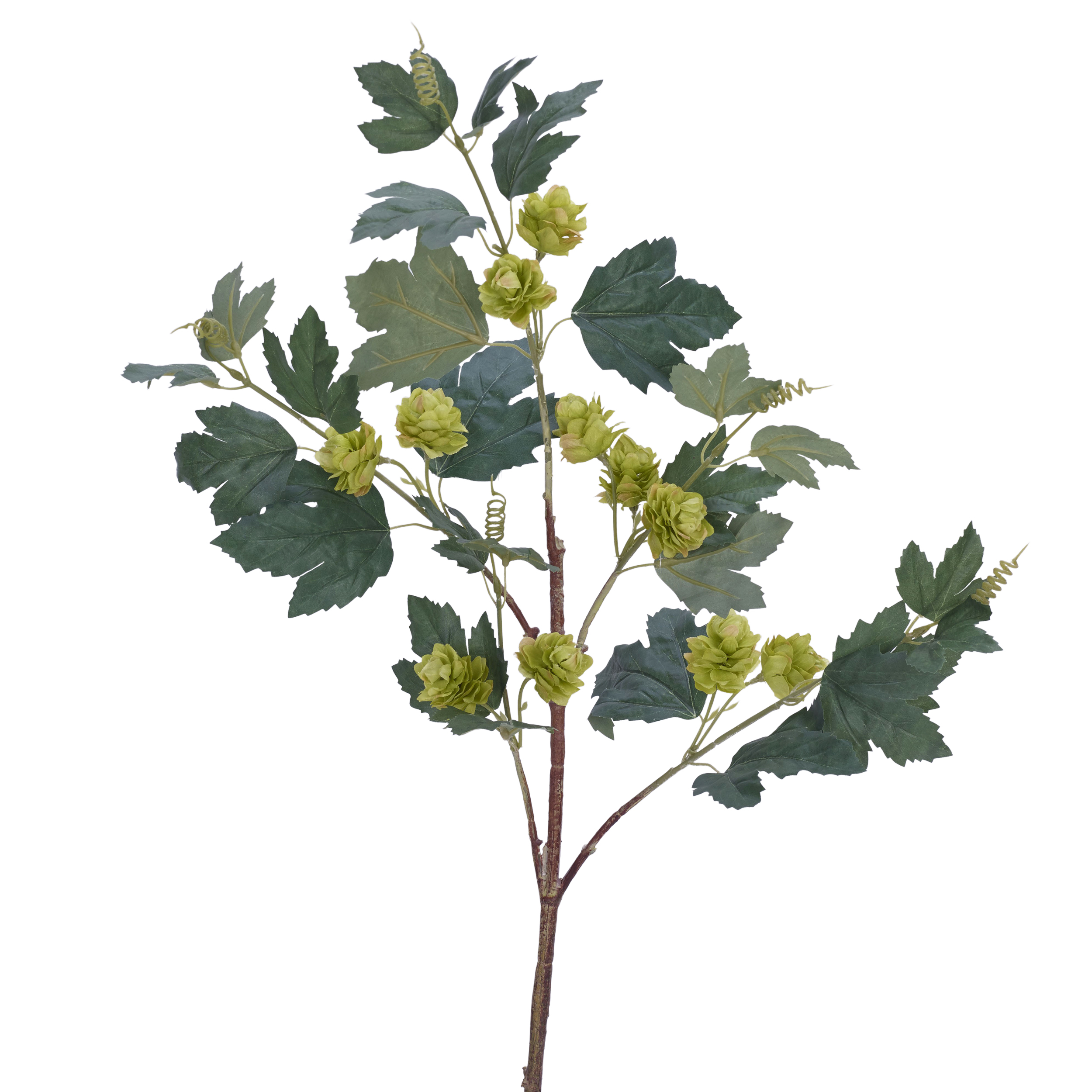 Kunstpflanze Lupulus