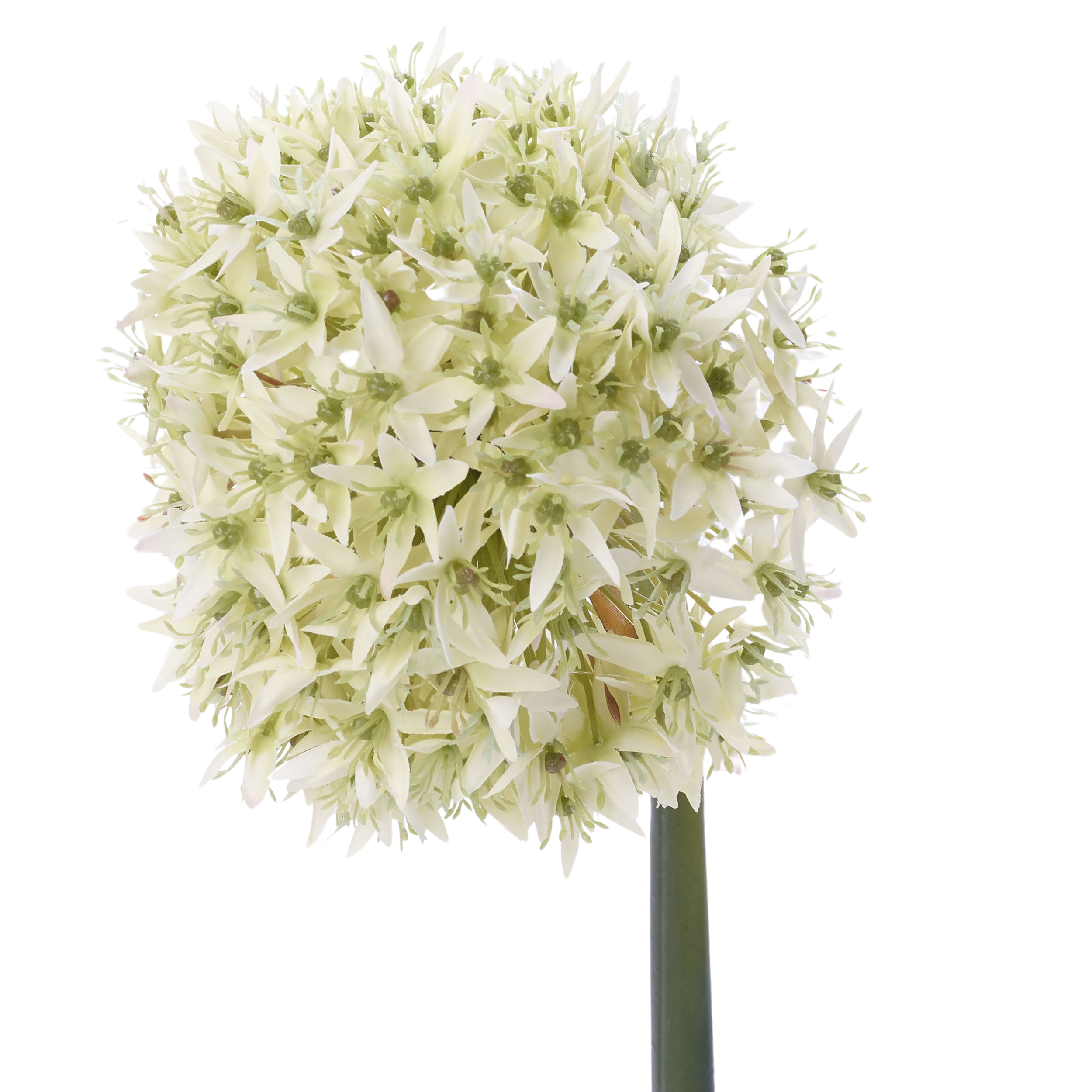 Kunstblume Allium