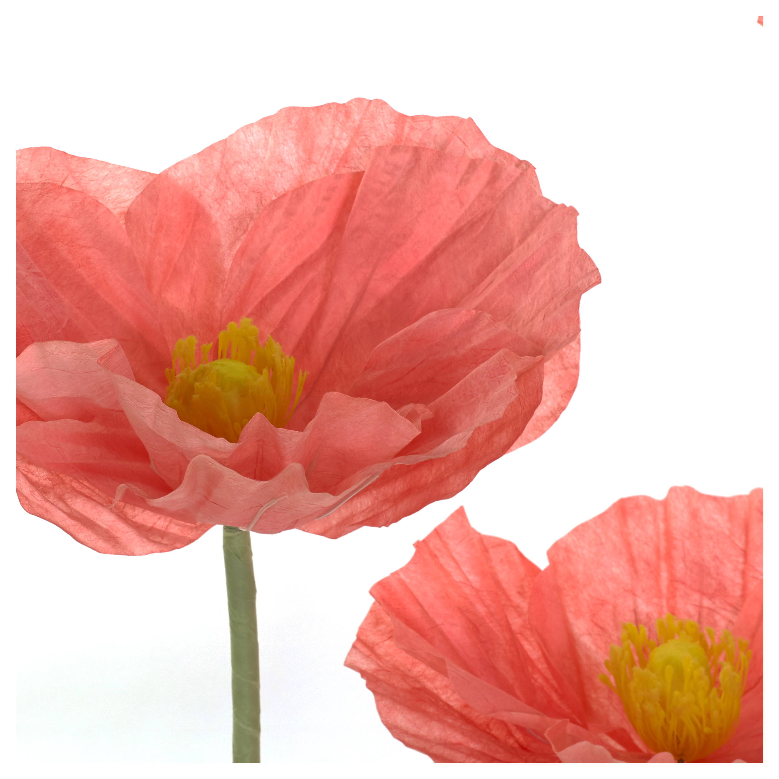 XXL-Kunstpflanze Mohn