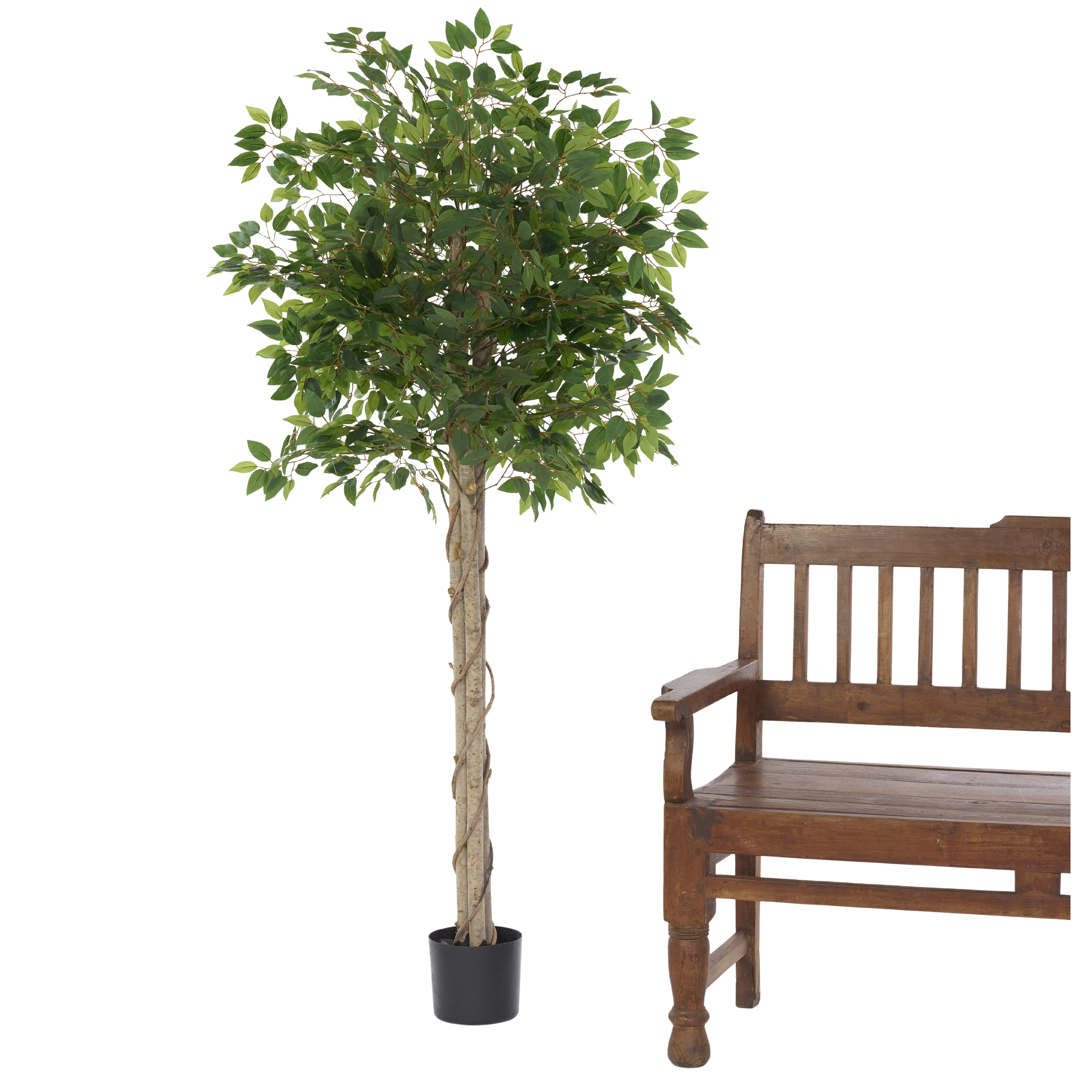 Kunstpflanze Ficus Benjamina