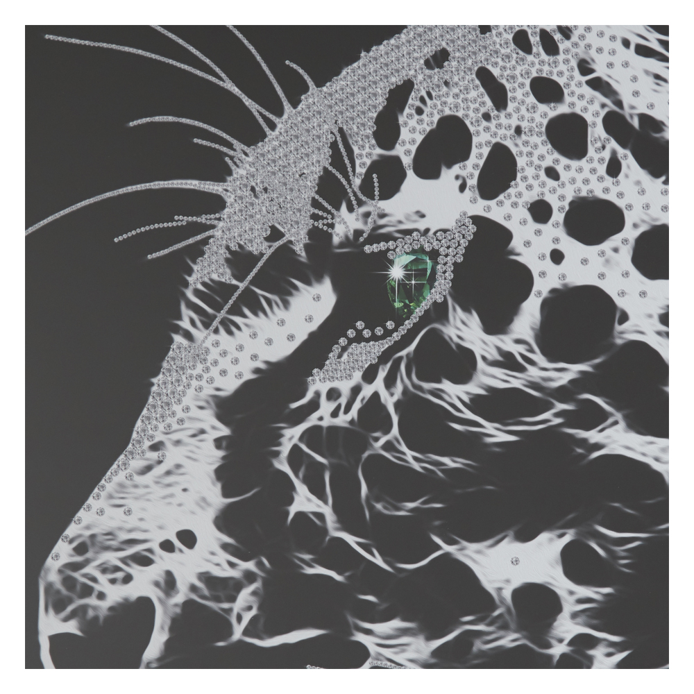 Kunstdruck Jaguar