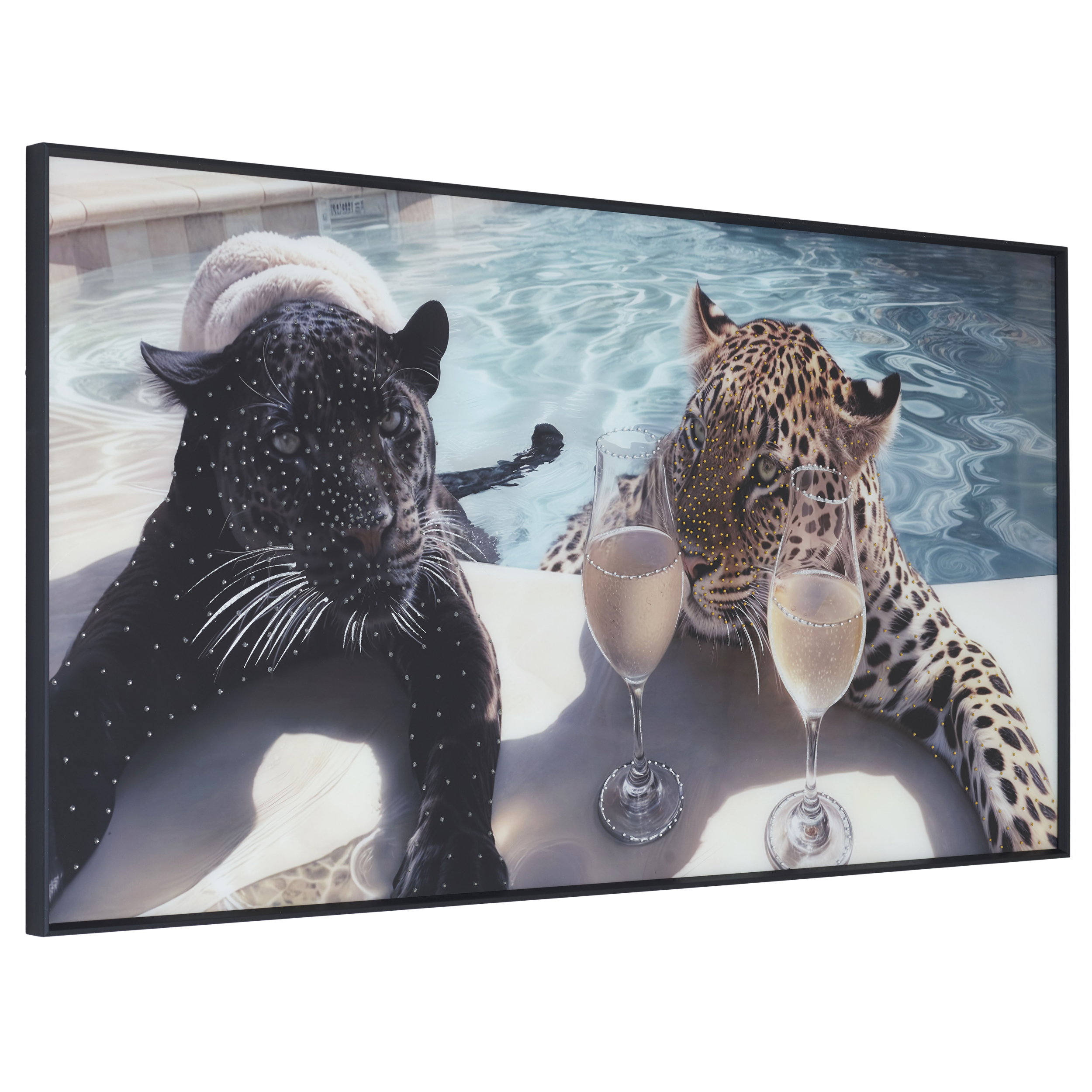 Wandbild Puma & Gepard