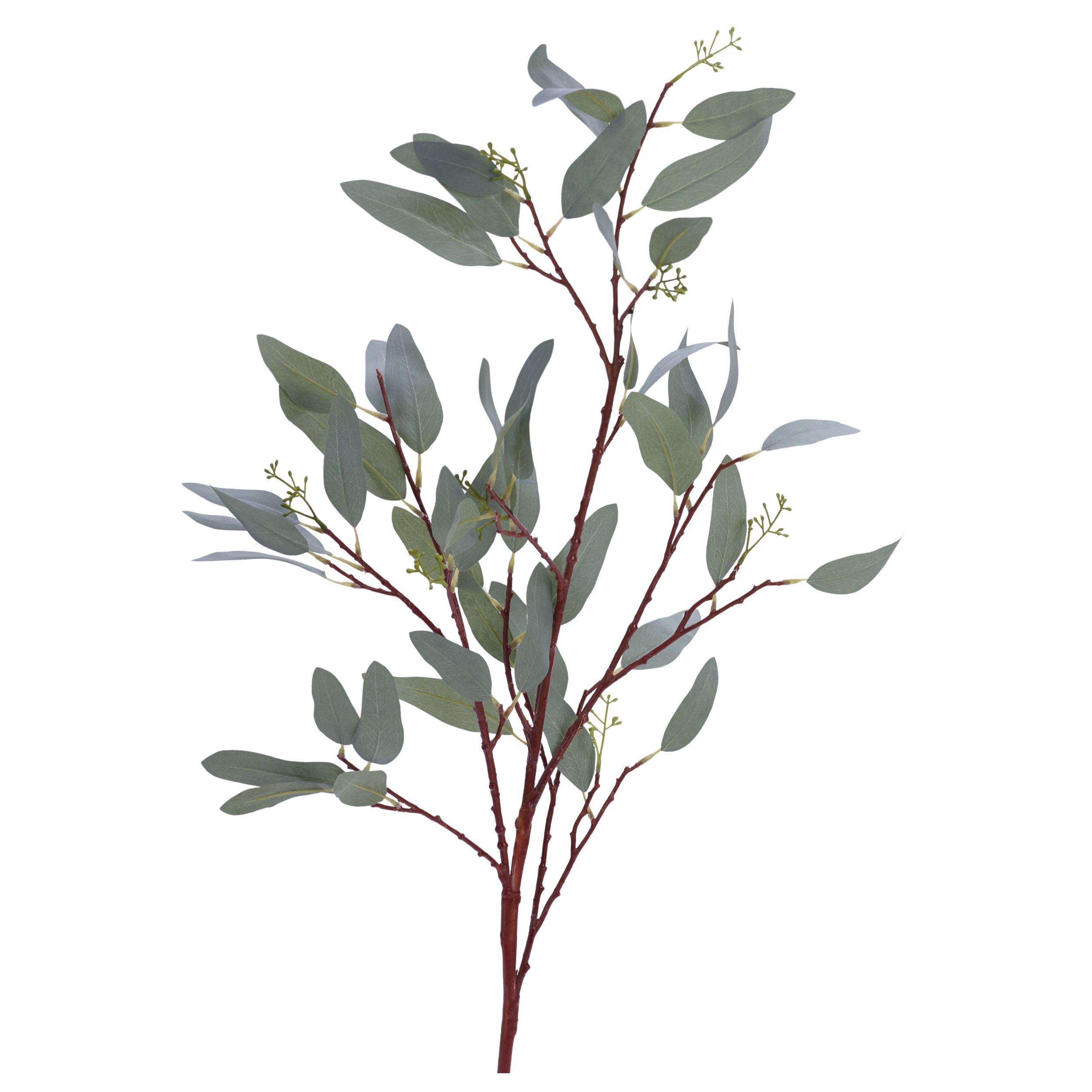 Kunstpflanze Eucalyptus länglich