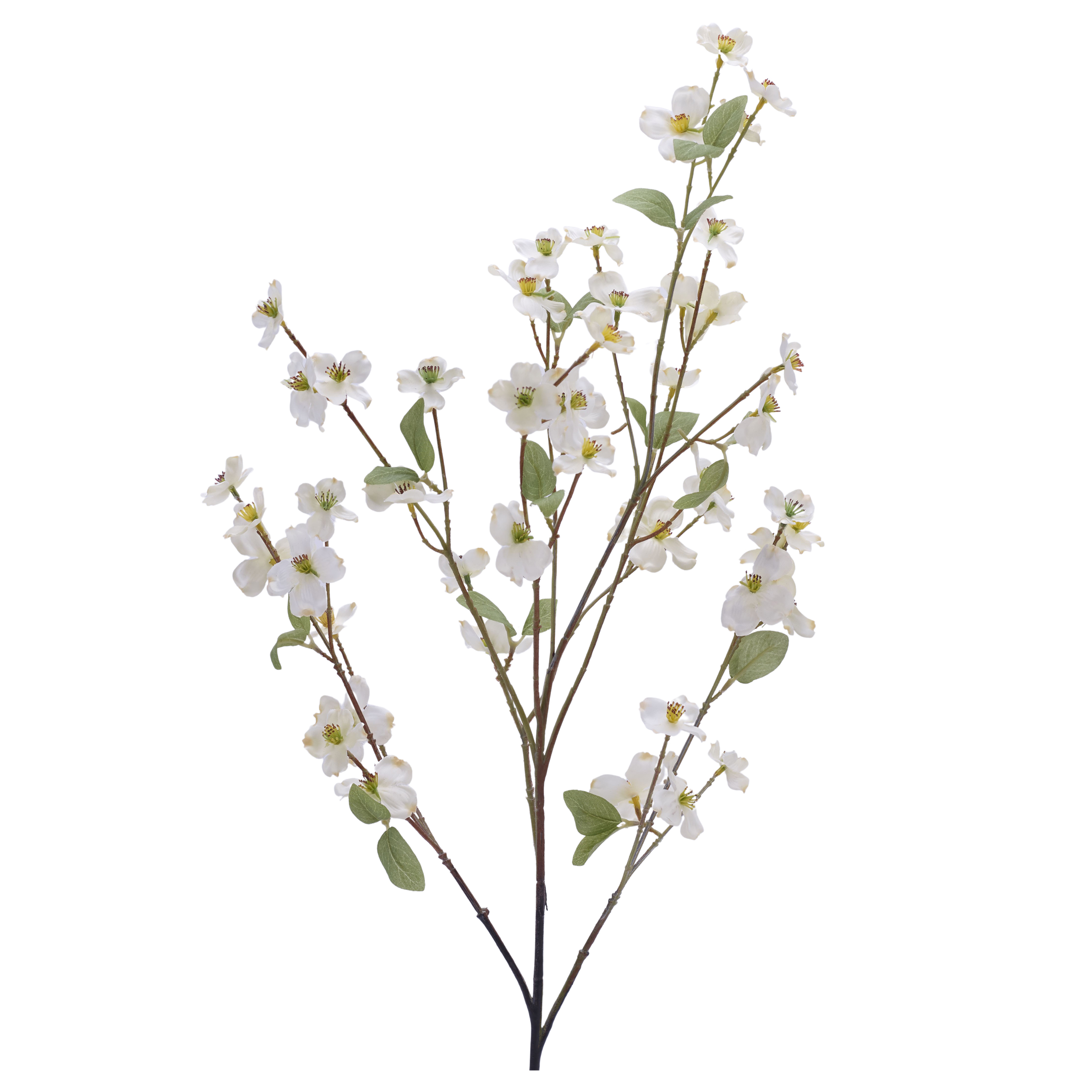 Kunstblume Hartriegel