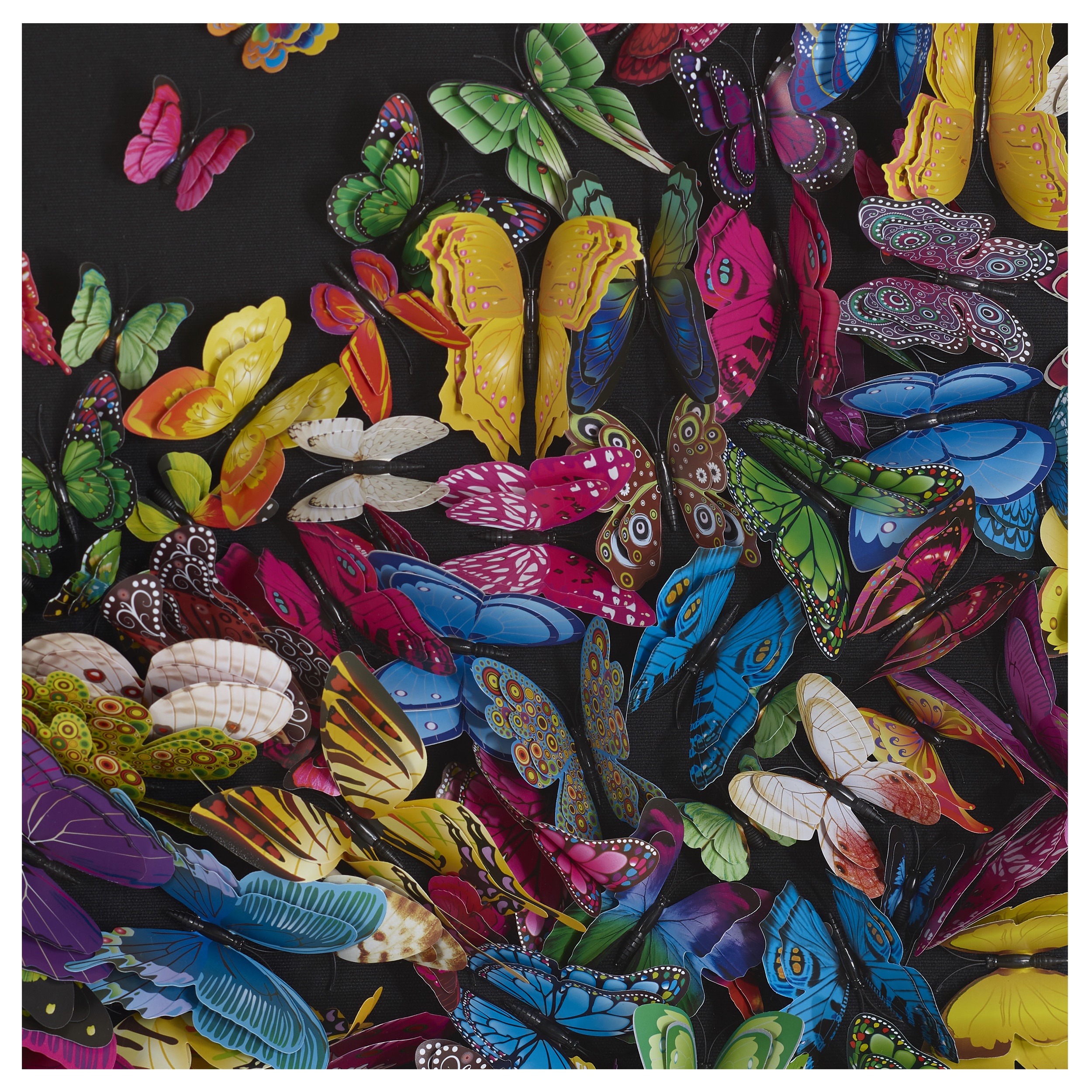Collage Colorful Butterfly
