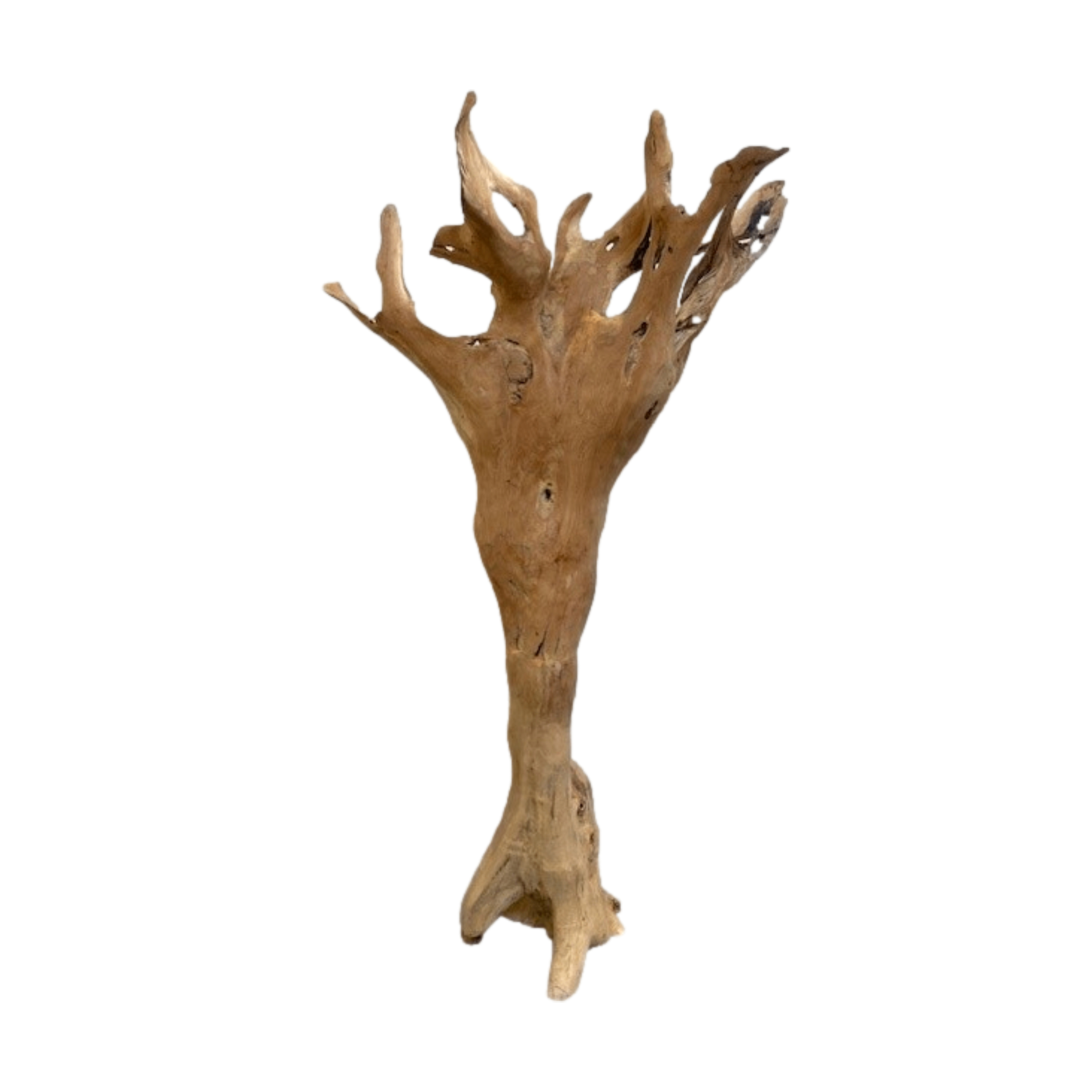 Dekoobjekt - mittel Root object