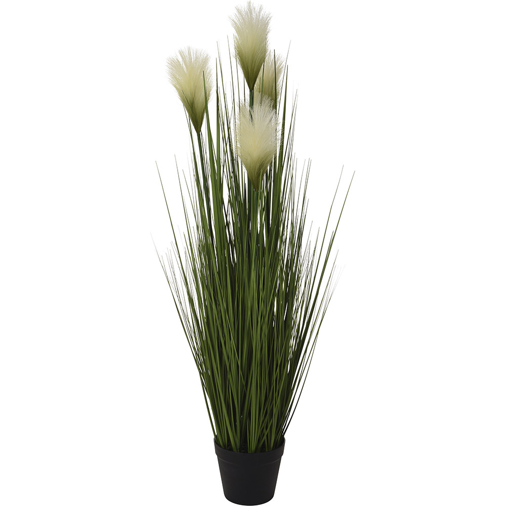 Dekopflanze Japanisches Gras